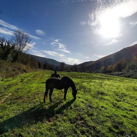 Ficulle La Casella Antico Feudo Di Campagna المظهر الخارجي الصورة