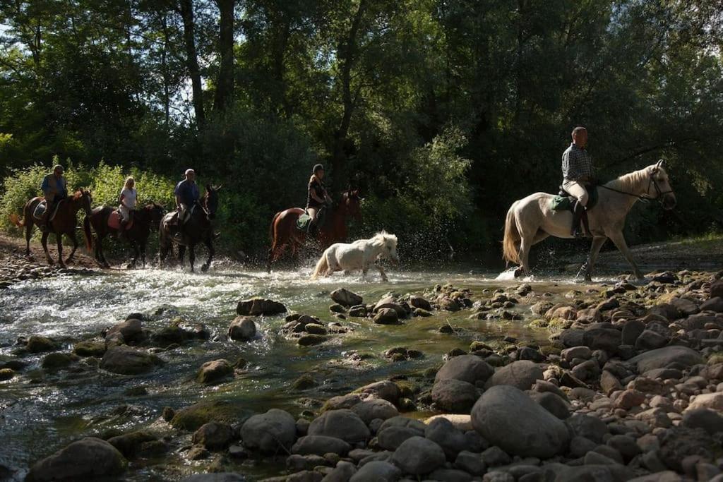 Ficulle La Casella Antico Feudo Di Campagna المظهر الخارجي الصورة