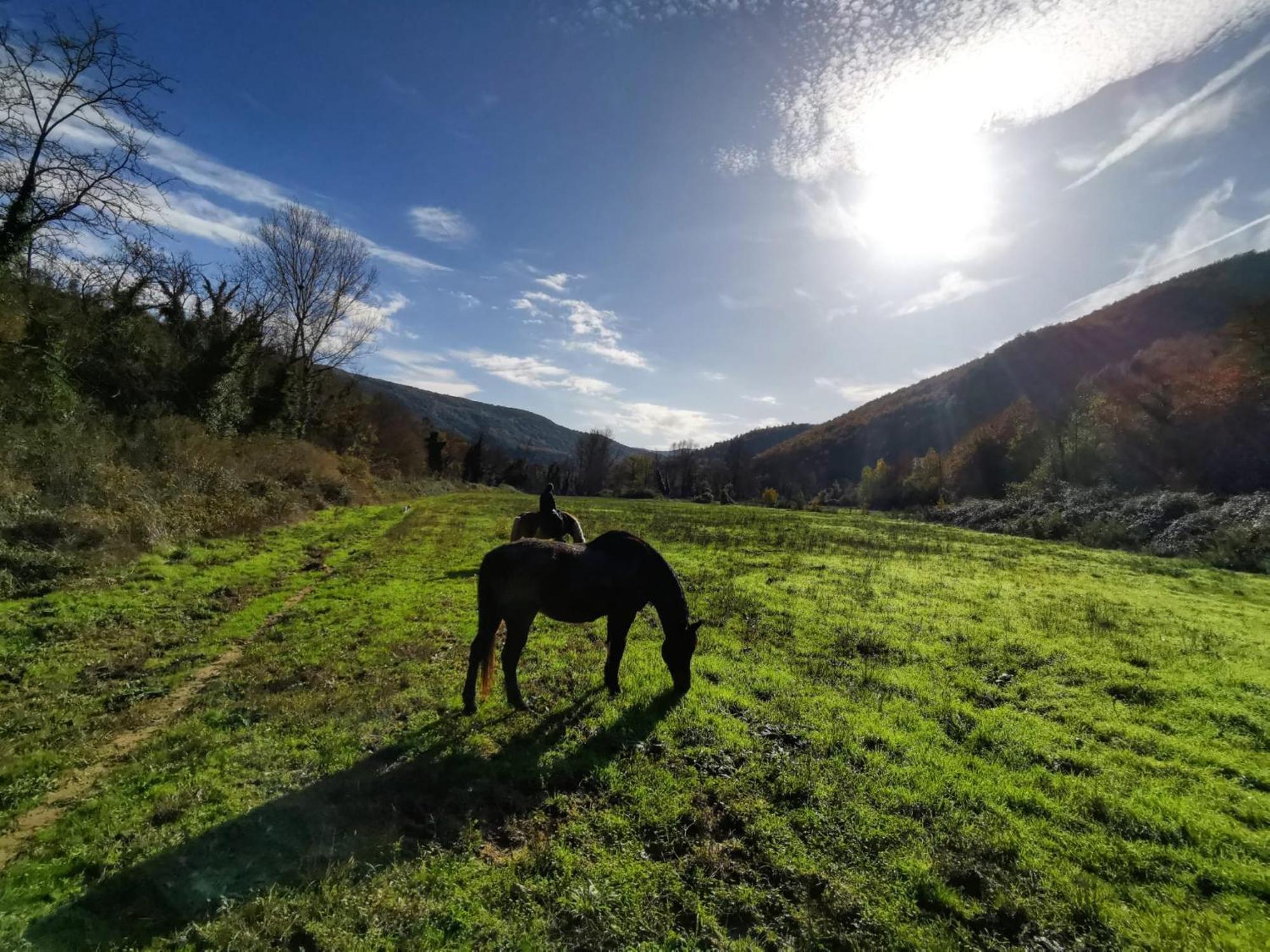 Ficulle La Casella Antico Feudo Di Campagna المظهر الخارجي الصورة