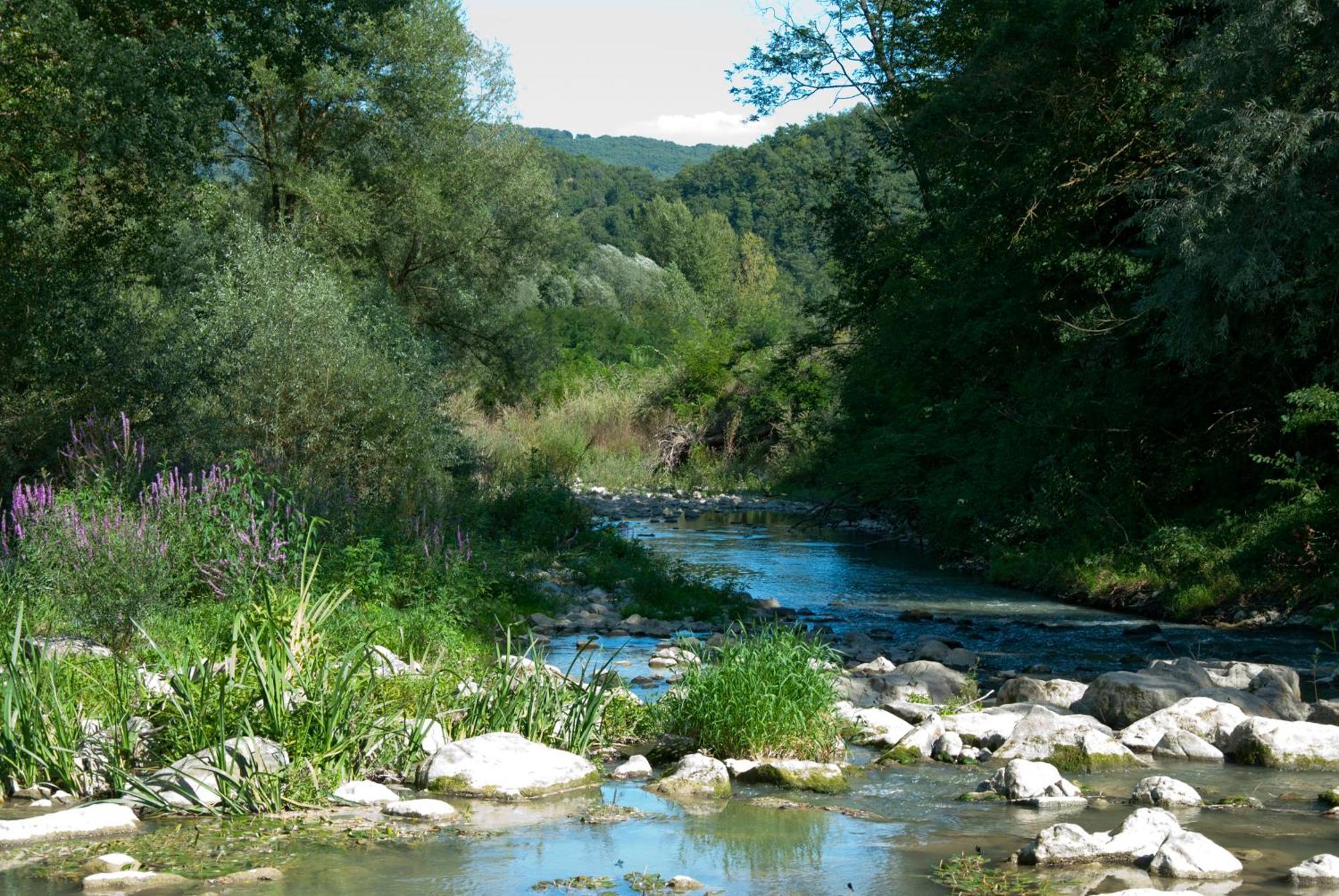 Ficulle La Casella Antico Feudo Di Campagna المظهر الخارجي الصورة
