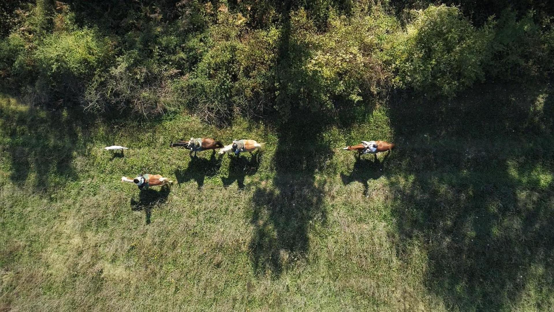 Ficulle La Casella Antico Feudo Di Campagna المظهر الخارجي الصورة