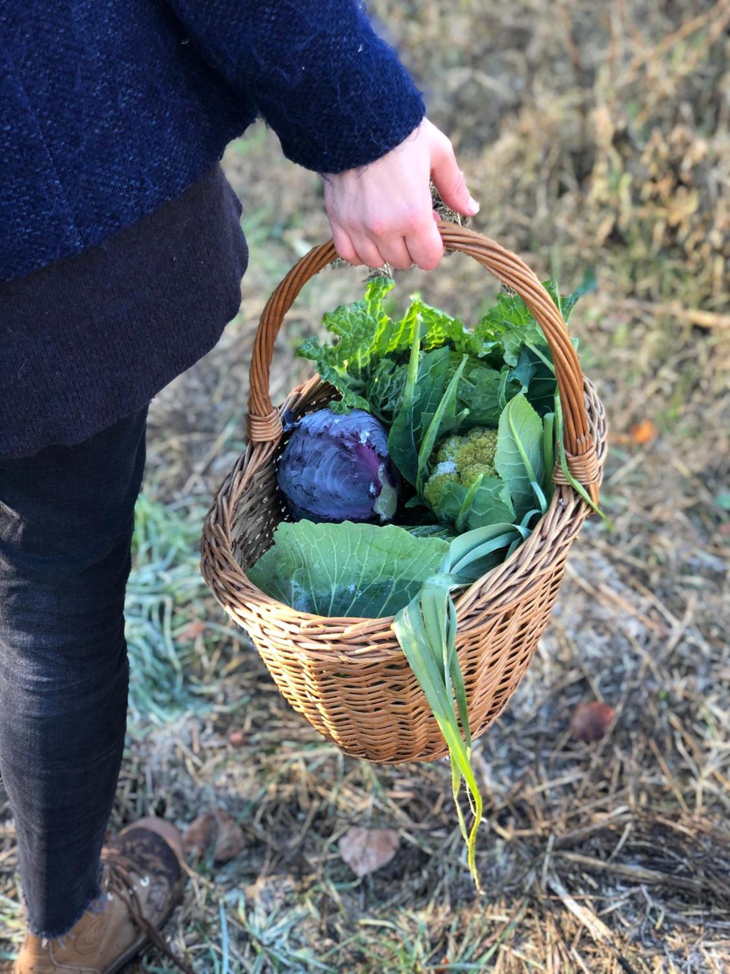 Ficulle La Casella Antico Feudo Di Campagna المظهر الخارجي الصورة