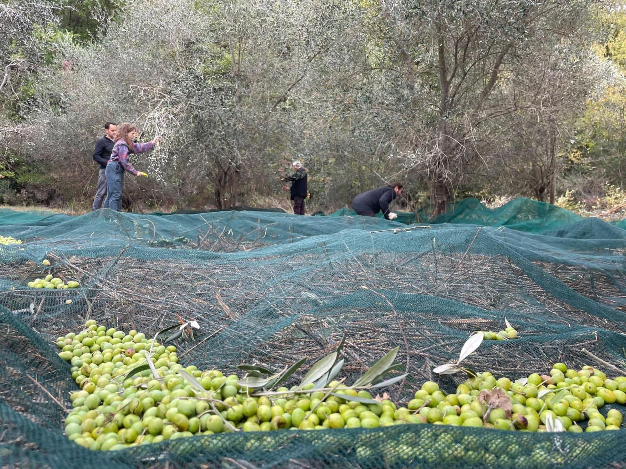 Ficulle La Casella Antico Feudo Di Campagna المظهر الخارجي الصورة